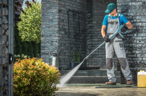 Animal Enclosure Cleaning in Berlin, MD